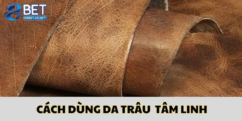 Cách thức sử dụng da trâu để mang lại vận may cho bản thân