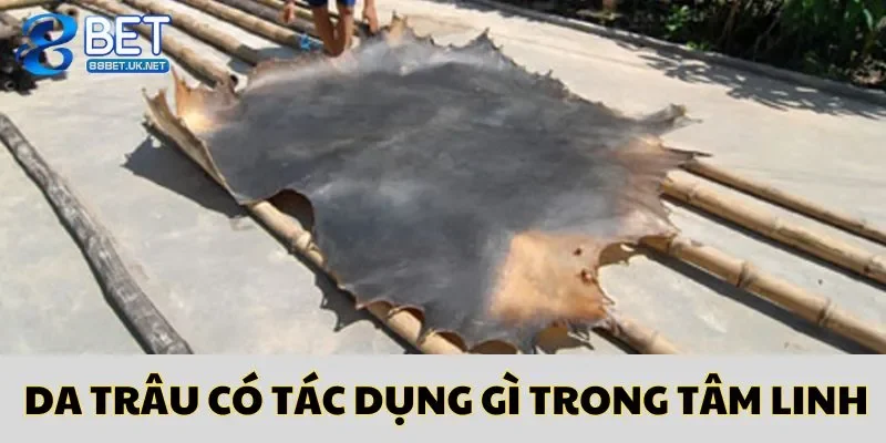 Da trâu có tác dụng gì trong tâm linh