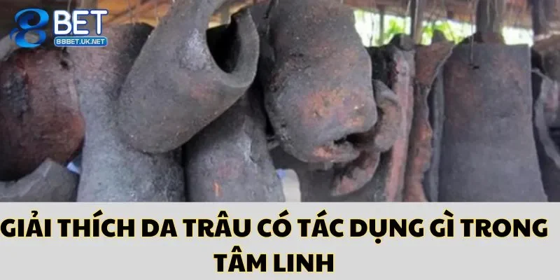 Da trâu có tác dụng gì trong tâm linh - về tài lộc, may mắn 