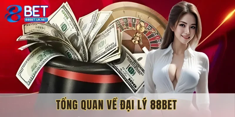 Khái quát chung về những người đồng hành của nền tảng