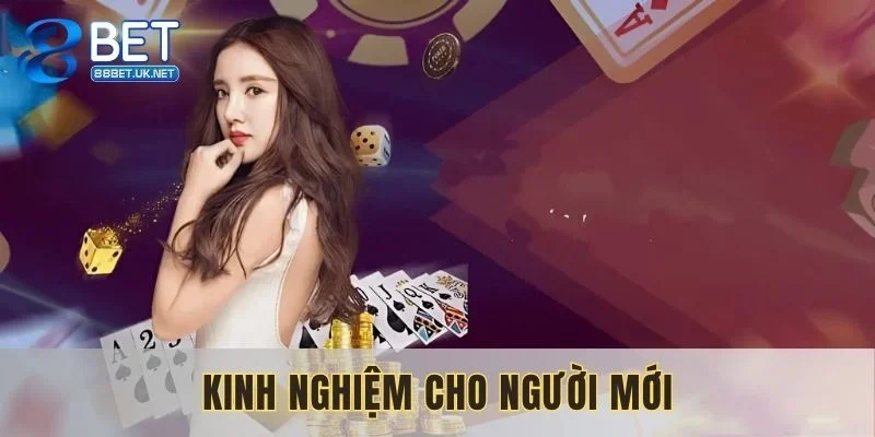 Người mới hãy bắt đầu tham gia từ mức cược thấp nhất