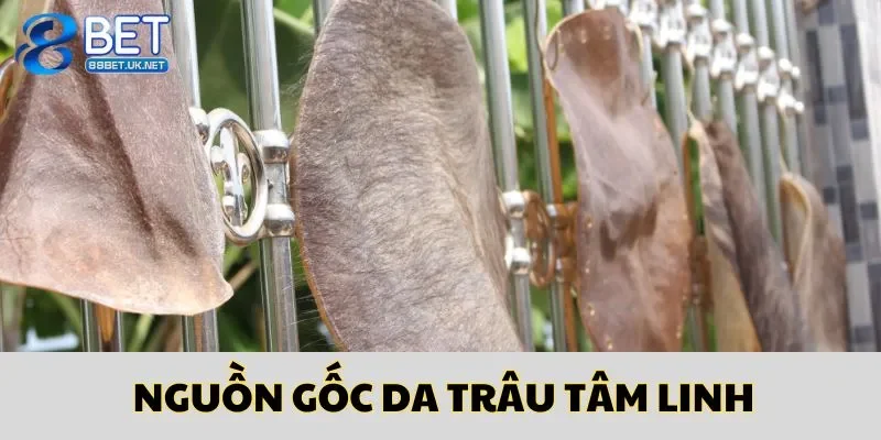 Giới thiệu về nguồn gốc tâm linh của da trâu cho người đọc