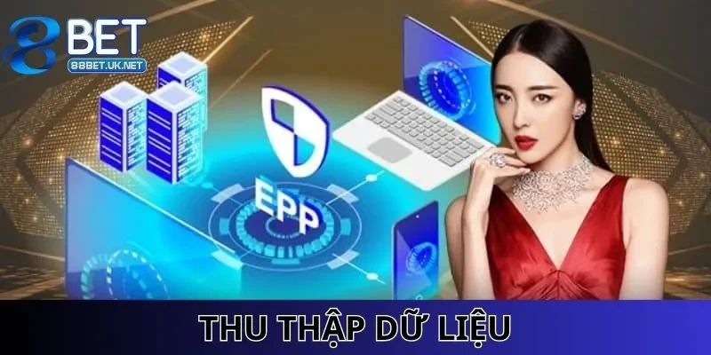 Quy định liên quan đến thu thập dữ liệu người dùng trực tuyến